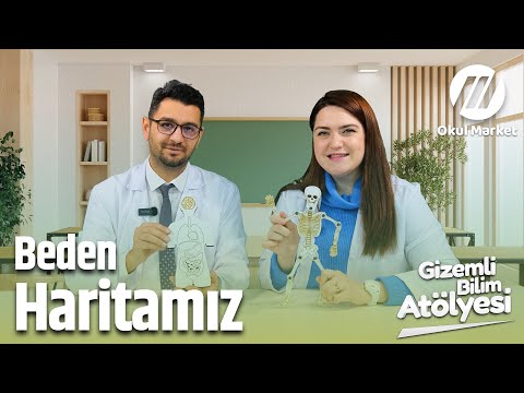 Beden Haritası