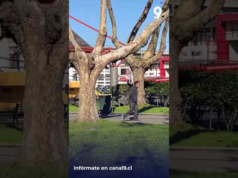 Intoxicación masiva afecta a 80 estudiantes en Coronel    investigan desayuno entregado por Junaeb