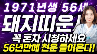 ⭐2026년 1971년생 56세 돼지띠운세⭐71년생 돼지띠는 말년을 책임질 금전과 귀인 들어옵니다! 2026년 71년생 돼지띠의 운명과 평생운세 / 병오년 56세 돼지띠 신년운세!
