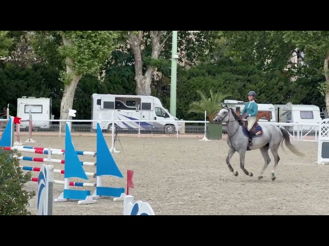 Jument de sport de 6ans