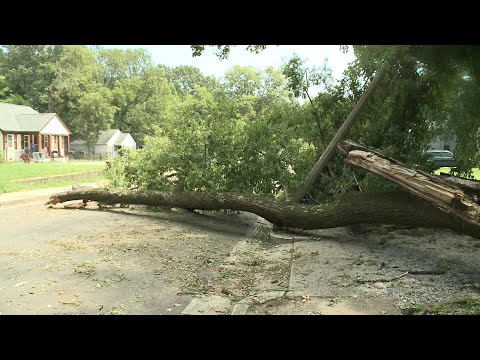 Mlgw Outage