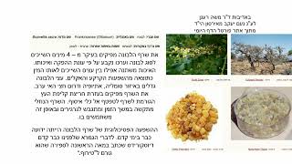 דף יומי מסכת סנהדרין דף מג Daf yomi Masechet Sanhedrin page 43  ע"י יוני גוטמן (שיעורי הדף היומי ב-20 דקות – מועבר ע"י ר' יוני גוטמן – לעילוי נשמת אביו ר' אלימלך צבי (צביקה) גוטמן ז"ל) - התמונה מוצגת ישירות מתוך אתר האינטרנט יוטיוב. זכויות היוצרים בתמונה שייכות ליוצרה. קישור קרדיט למקור התוכן נמצא בתוך דף הסרטון