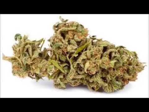 La Mata de Mota -  Chico Che