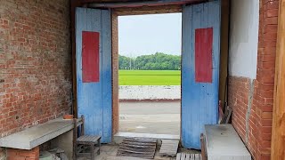 Autumn rice paddies🍁秋天的稻香🌾old house 🏡古厝♥️creek🏞小溪流♥️