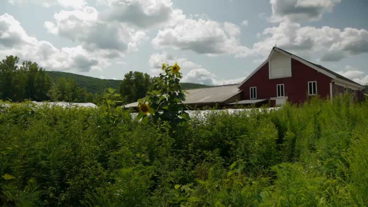 Freund’s Farm, CT