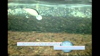 Воблер megabass z-crank viblash red