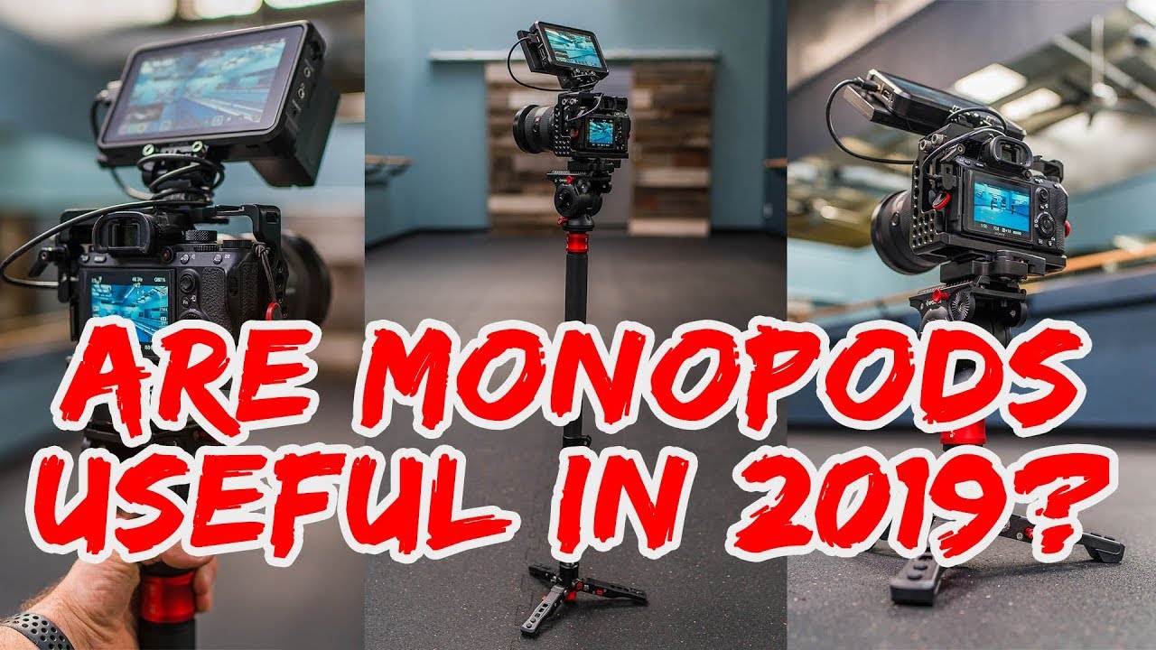 Are Monopods Useful in 2019? iFootage Cobra 2 C180 Review