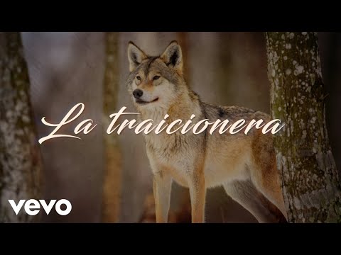 Los Temerarios - La Traicionera (LETRA)