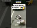 Miracle Of Allah Islam Allah Gesi Baglari Short Status