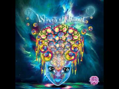 Silly Twit - Dark Dork