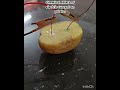 Chemical Effect Of Electric Current On Potato Youtubeshorts Fun Sciencestars