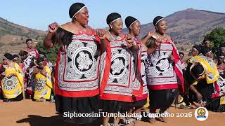 Siphocosini Chiefdom Ummemo 2026