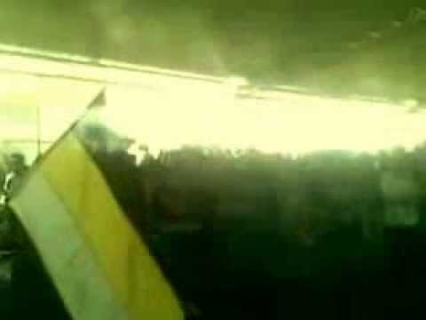 Hoje o tigre vai ganhar