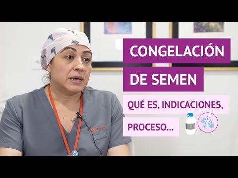 Congelación de esperma: indicaciones, proceso, resultado y precio