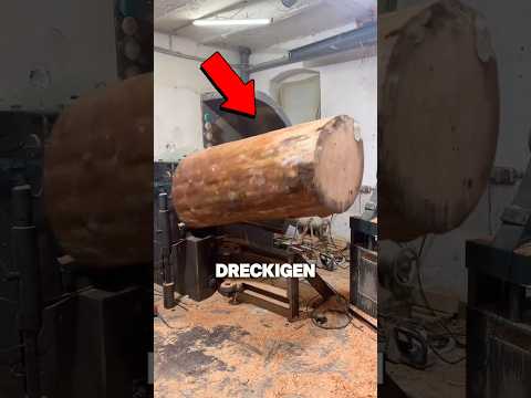 34,999€ für einen Baumstamm 💀 #shorts