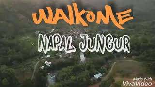 preview picture of video 'Napal Jungur Desa Kelahiran'