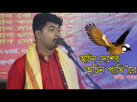 অচিন দেশের অচিন পাখি রে , জহির পাগলা । মা পাগলীর দরবার শরিফ Ocin Desh ar Ocin Pakhi re , Johir Pagla