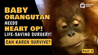 Baby Monkey's Open Heart Surgery Part 2 | Storyteller Media
