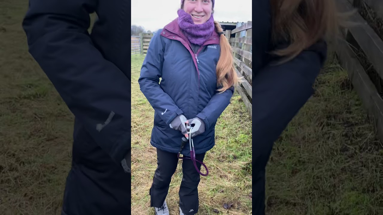 Watch video Sweet itch - a vet talks about what helped her horse Now Sweet itch - a vet talks about what helped her horse