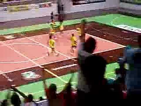 final pan juvenil 2005 handebol br arg