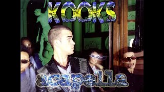 Robbie Williams - Kooks (Acapella)