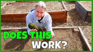Wooloculture in the Garden