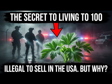 The Longest-Living People on Earth Eat This Plant Daily. It's Illegal to Sell in America