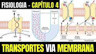 O TRANSPORTE DE SUBSTÂNCIAS ATRAVÉS DA MEMBRANA CELULAR - Fisiologia (Capítulo 4)│ Guyton e Hall