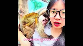 #animals #犬動画 #わんこ #いぬすたぐらむ #犬のいる暮らし #賢い犬 #忠犬 #感動犬