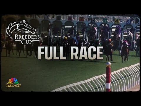 2024/11/3(日) ブリーダーズカップターフスプリント(G1)