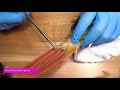 Blood feather pull