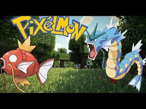 Magikarp Evolving into Gyarados at Level 20 on pixelmon