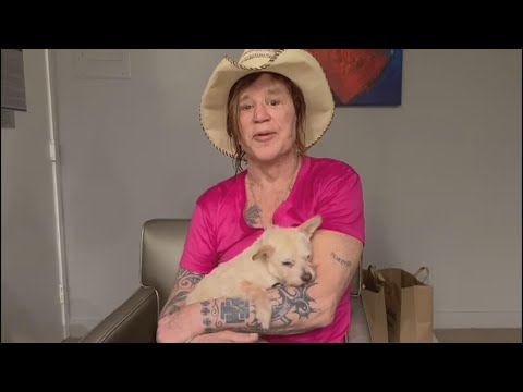 Mickey Rourke Blasts GoFundMe Page Set Up To Help Him