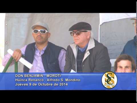 Don Benjamín - Venta Toros - Huinca Renancó - 09/10/2014