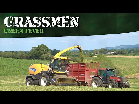 Green Fever - Donkey's Cut