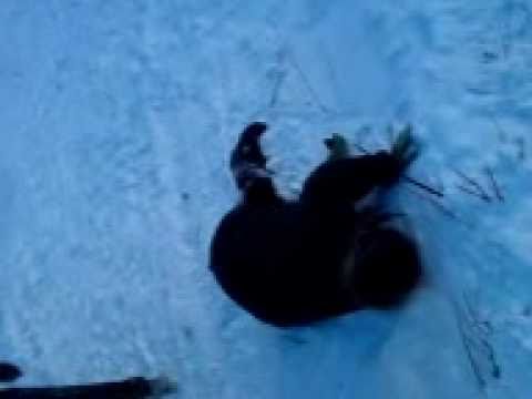 tiocu la derdelus la redea