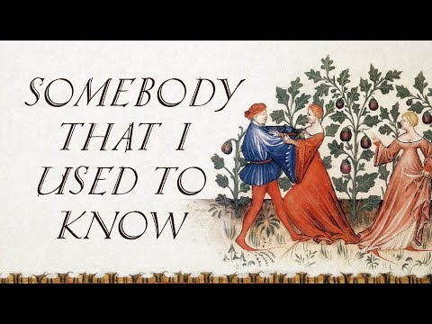 Somebody That I Used To Know (Bardcore | Medieval Style Cover with Vocals)