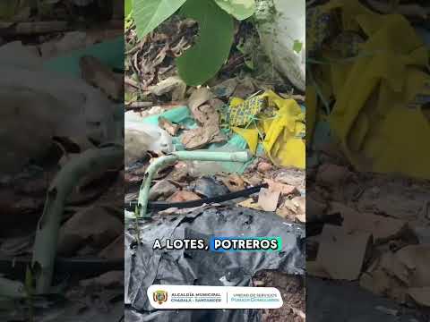 #Ambiente || ¿𝐃𝐞 𝐯𝐞𝐫𝐝𝐚𝐝 𝐞𝐬𝐭𝐞 𝐞𝐬 𝐞𝐥 𝐂𝐡𝐚𝐫𝐚𝐥𝐚́ 𝐪𝐮𝐞 𝐪𝐮𝐞𝐫𝐞𝐦𝐨𝐬 𝐦𝐨𝐬𝐭𝐫𝐚𝐫? 🤔🌱