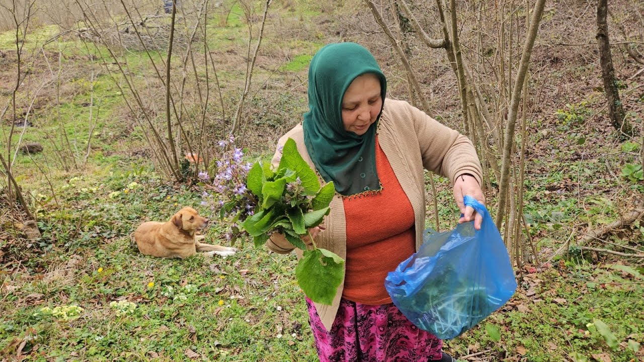 ‼️ŞİFALI OTLARIN TAM ZAMANI ‼️