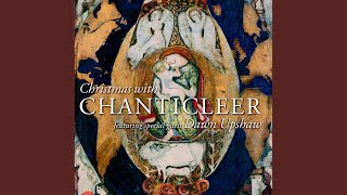 Beautiful Star of Bethlehem