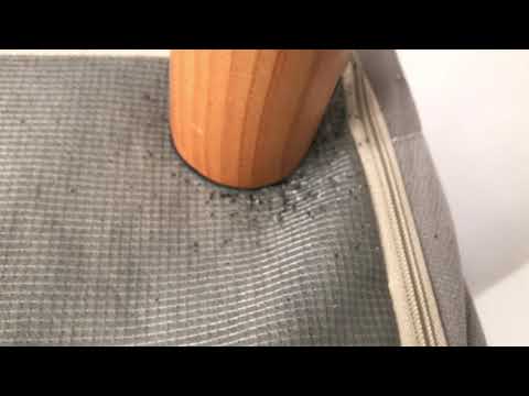 Exterminating Bed Bugs in Freehold, NJ