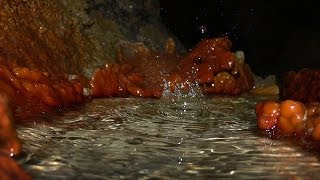 preview picture of video 'Пещера Мушкарова Яма'