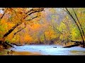 4 hours of peaceful, relaxing, nature instrumental music by Tim Janis