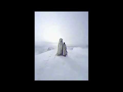 (FREE) Irko x Zoomy x Realo TYPE BEAT "fit"