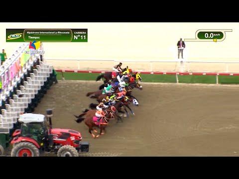 11ª. | 5ª. | LXXI CLÁSICO AVIACIÓN MILITAR BOLIVARIANA | STEADY | La Rinconada | Reunión 45 | 2025