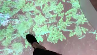 Custom Interactive Mapping | LuminVision