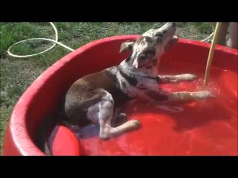 Apache-kleiner Indianer