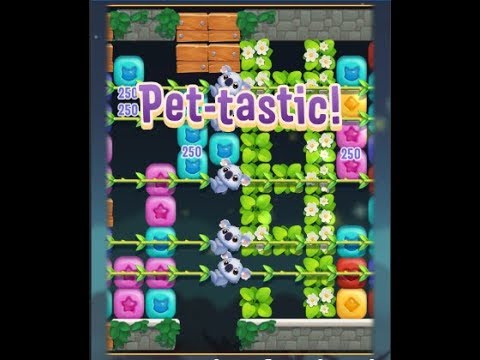 Pet Rescue Puzzle Saga Level 784