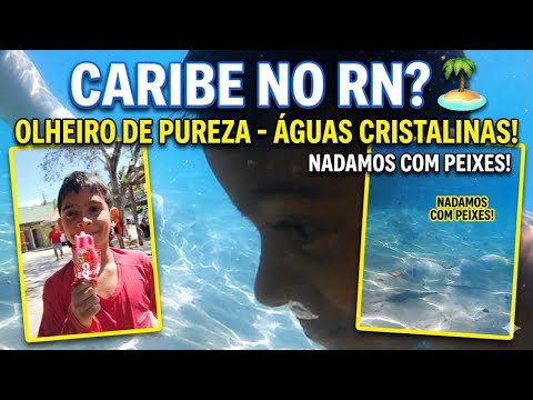 ESSE PARAÍSO FICA A 1 HORA DE NATAL? 😱 (Olheiro de Pureza)