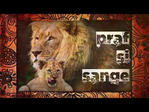 M.O.S.H. - Sangele Meu